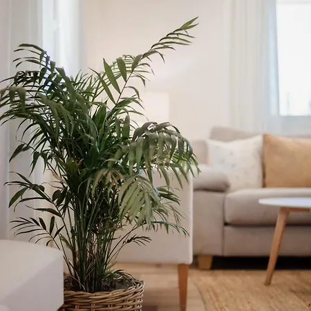 Zefiros Corfu Apartment