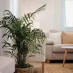 Zefiros Corfu شقة